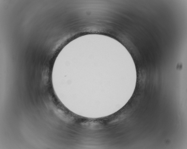 X0000111530208200908251211