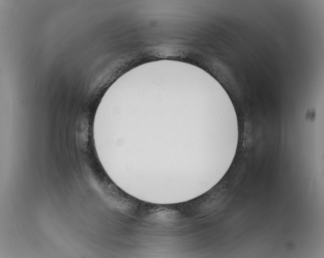 X0000111530210200908251211