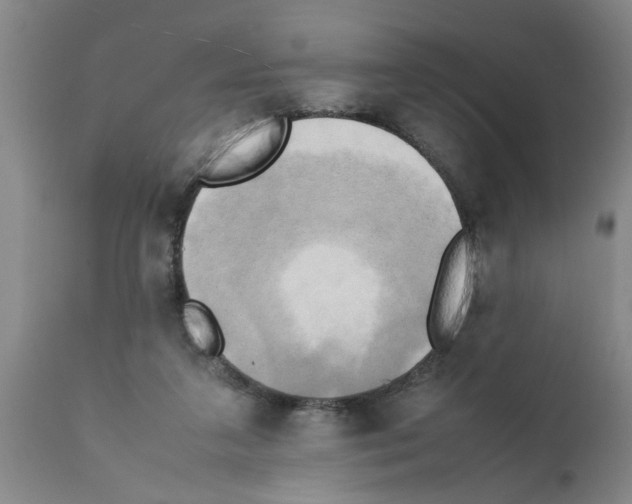 X0000111530211200908251211