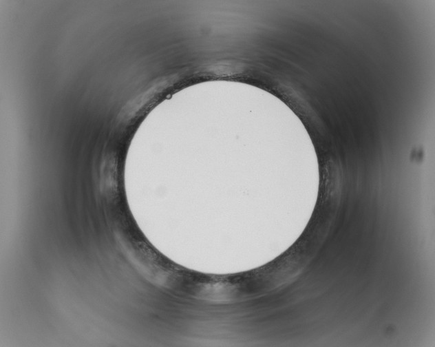 X0000111530212200908251211