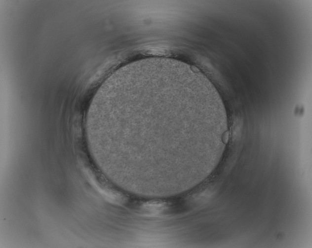 X0000111530213200908251211