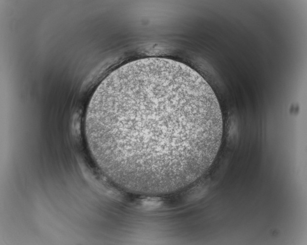 X0000111530214200908251211