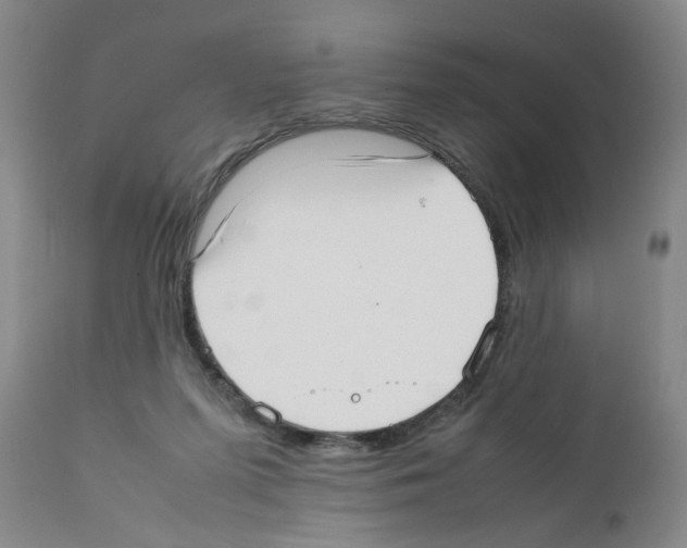 X0000111530215200908251211