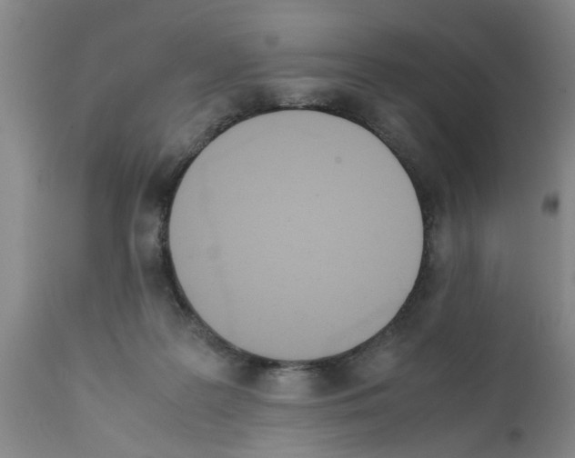 X0000111530219200908251211