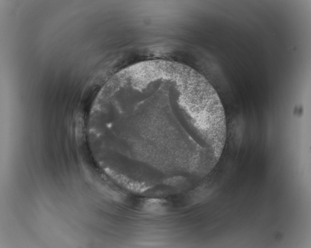 X0000111530222200908251210