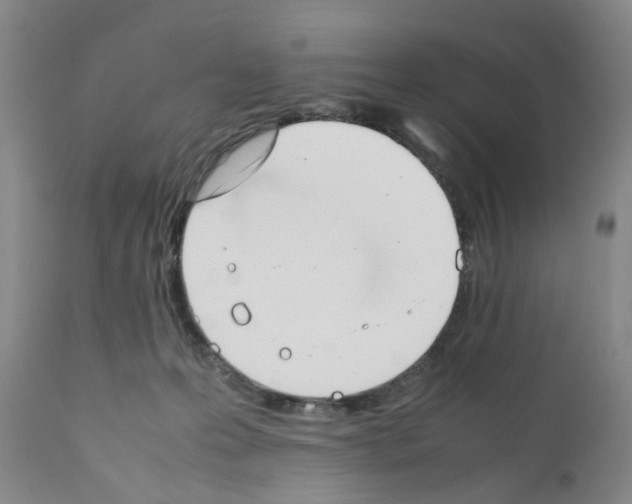 X0000111530223200908251210