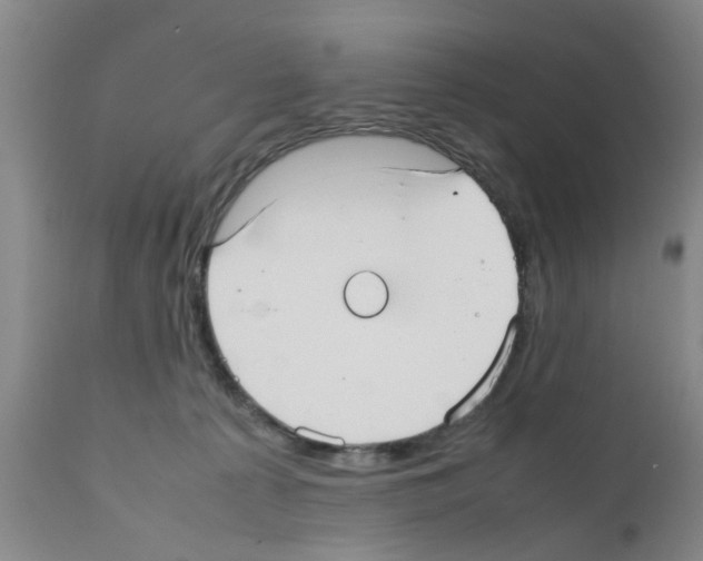 X0000111530225200908251210