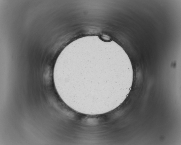 X0000111530228200908251210