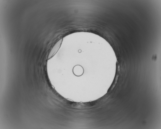 X0000111530229200908251210