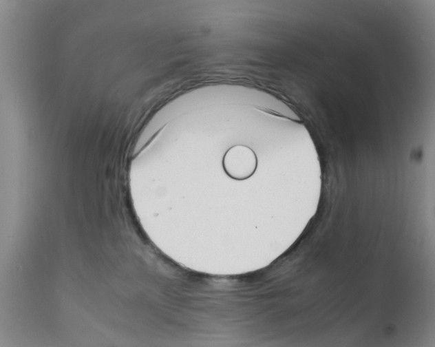 X0000111530233200908251210