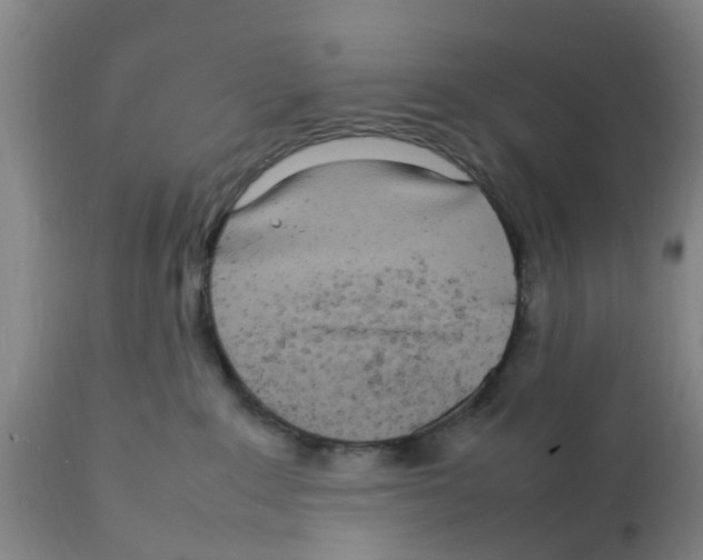 X0000111530235200908251210