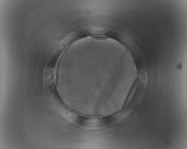 X0000111530237200908251210