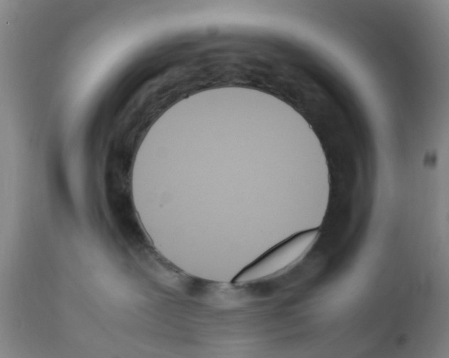 X0000111530239200908251210