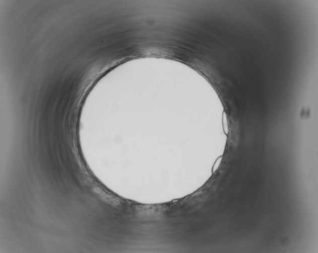 X0000111530241200908251209