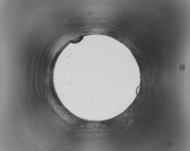 X0000111530242200908251209