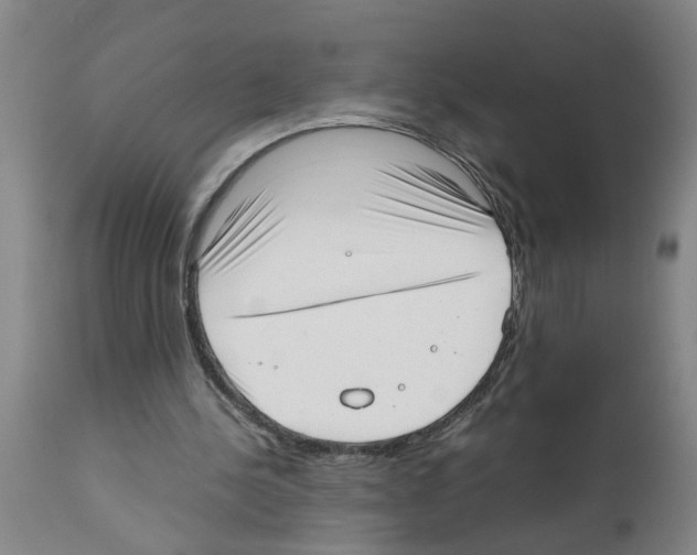 X0000111530244200908251209