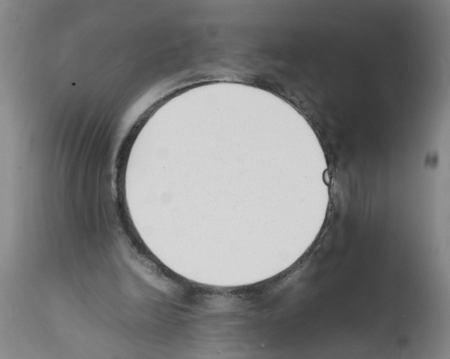 X0000111530246200908251209