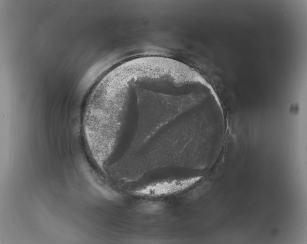 X0000111530247200908251209