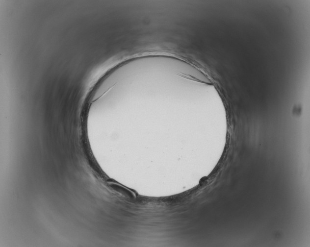 X0000111530248200908251209