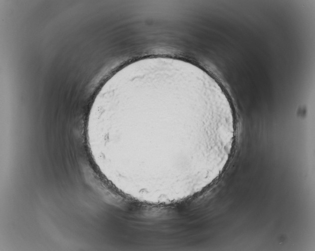 X0000111530249200908251209