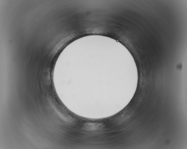 X0000111530251200908251209