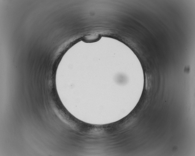 X0000111530252200908251209