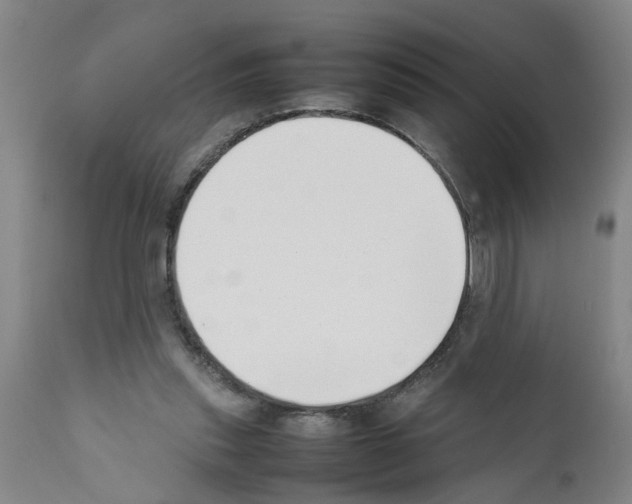 X0000111530253200908251209