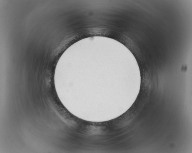 X0000111530255200908251209