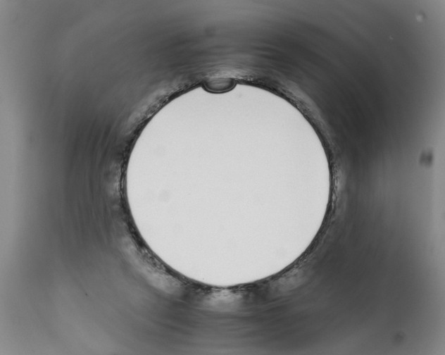 X0000111530257200908251209