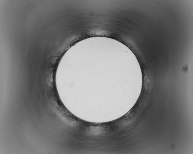 X0000111530259200908251209