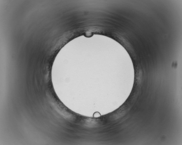 X0000111530261200908251210