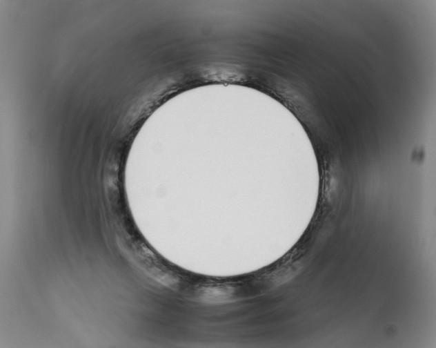 X0000111530263200908251210