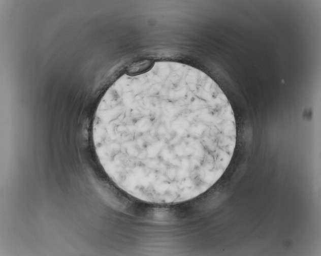 X0000111530264200908251210