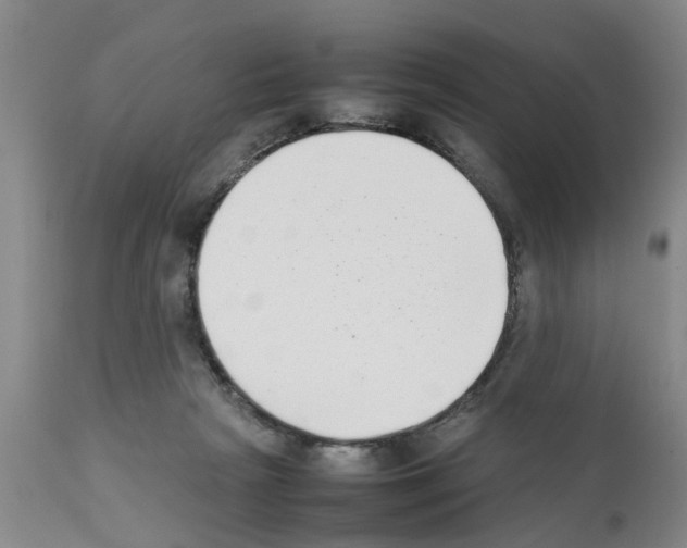 X0000111530265200908251210