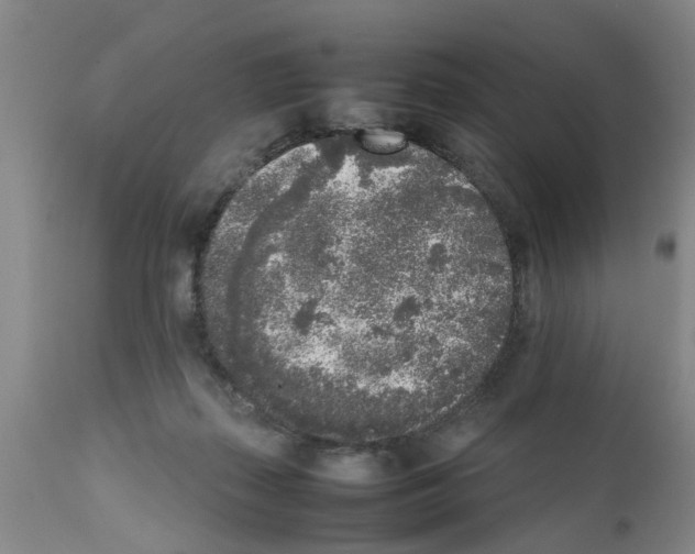 X0000111530267200908251210