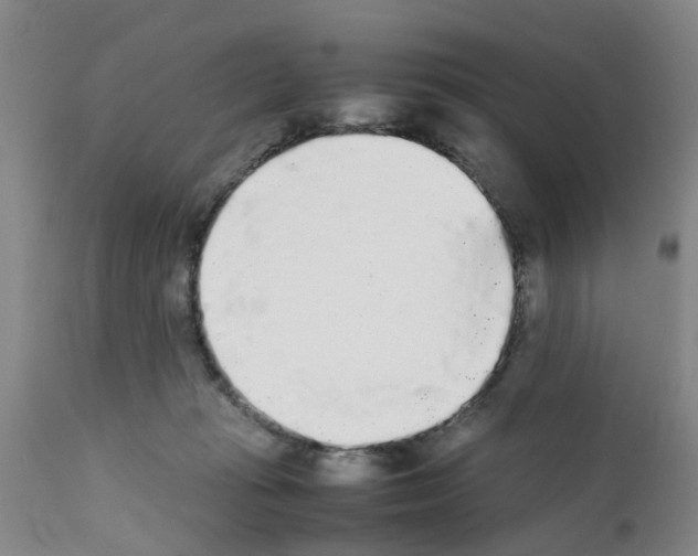 X0000111530269200908251210