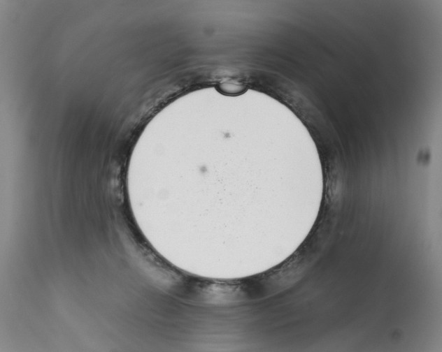 X0000111530270200908251210