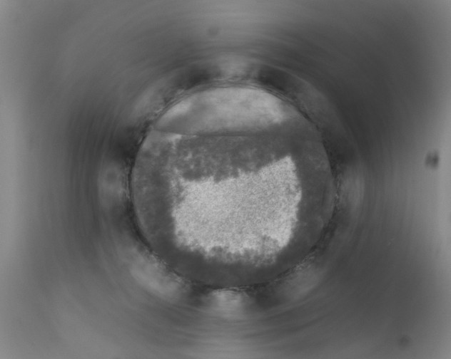 X0000111530272200908251210