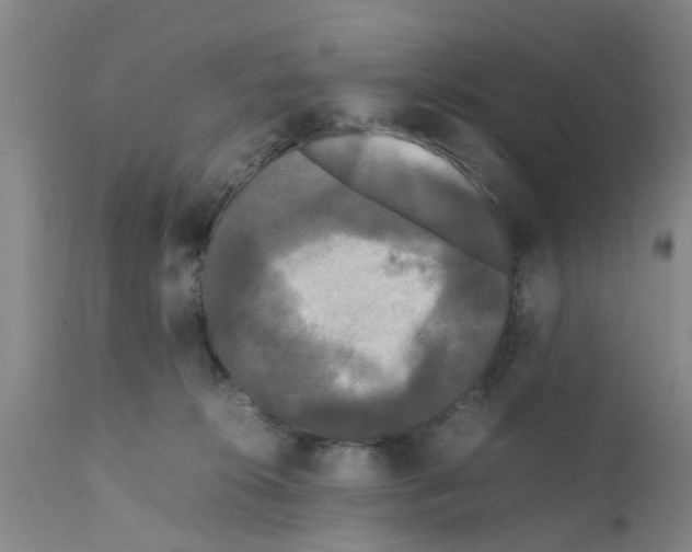 X0000111530276200908251210