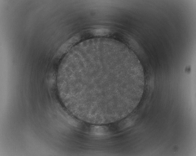 X0000111530277200908251210