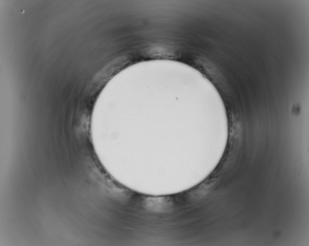 X0000111530281200908251210