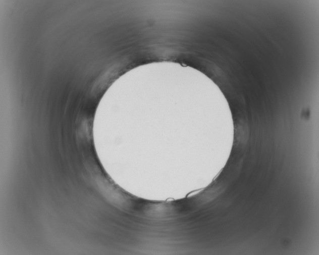 X0000111530286200908251210