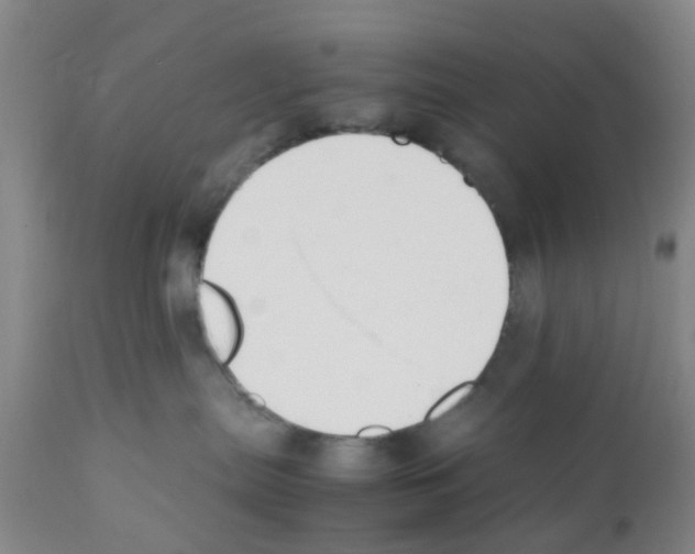 X0000111530287200908251210