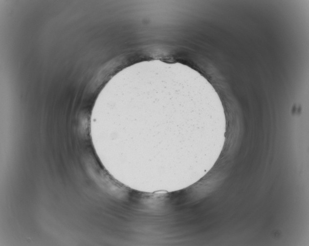 X0000111530288200908251210