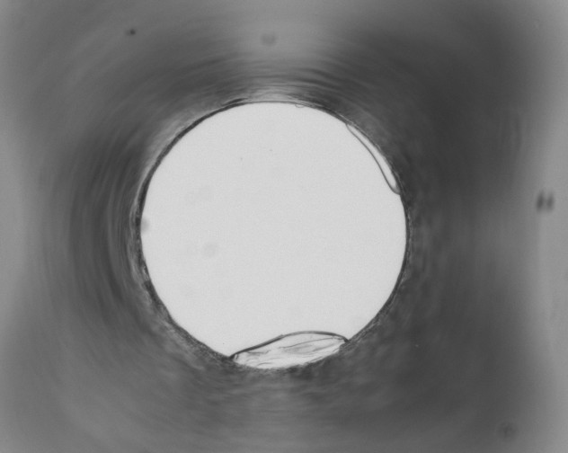 X0000111530289200908251209