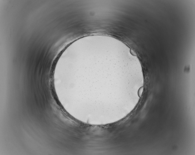 X0000111530290200908251209