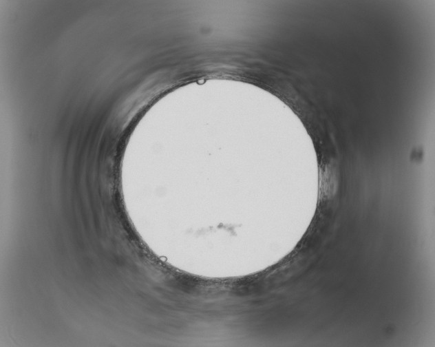 X0000111530291200908251209