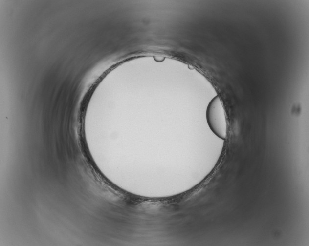 X0000111530294200908251209