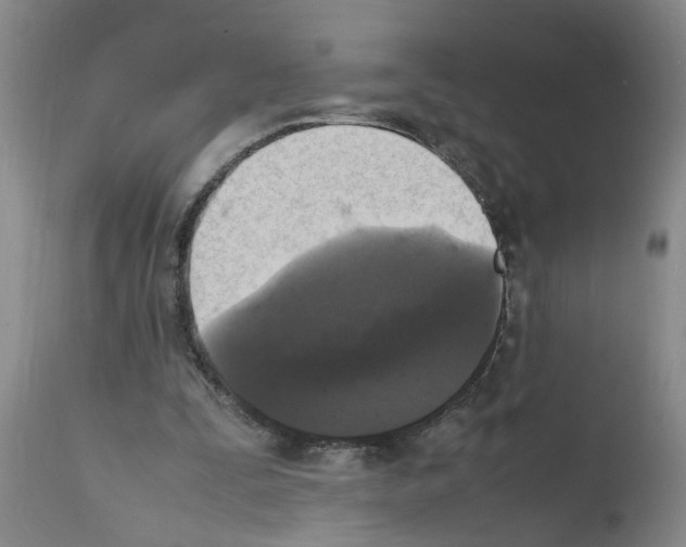 X0000111530295200908251209