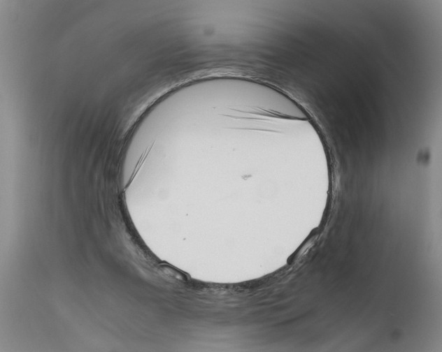 X0000111530297200908251209